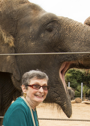 Brookdale Meridian Temple resident Jenny Bond makes friends with an elephant at the Houston Zoo.