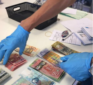 Investigators from the Netherlands count money seized during a search.