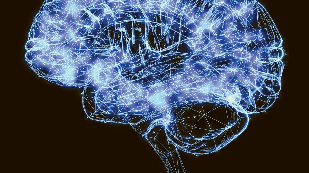 Novel deep-brain ‘superfiber’ could mean better Alzheimer’s imaging, diagnoses