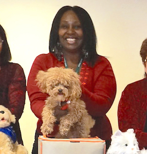 Bentley, a toy poodle owned by Activity Director Tracey Couliboly, won the Rockminster Dog Show.