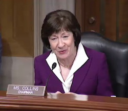 Sen. Susan Collins (R-ME) speaks at the March 21 Senate Special Committee on Aging hearing.
