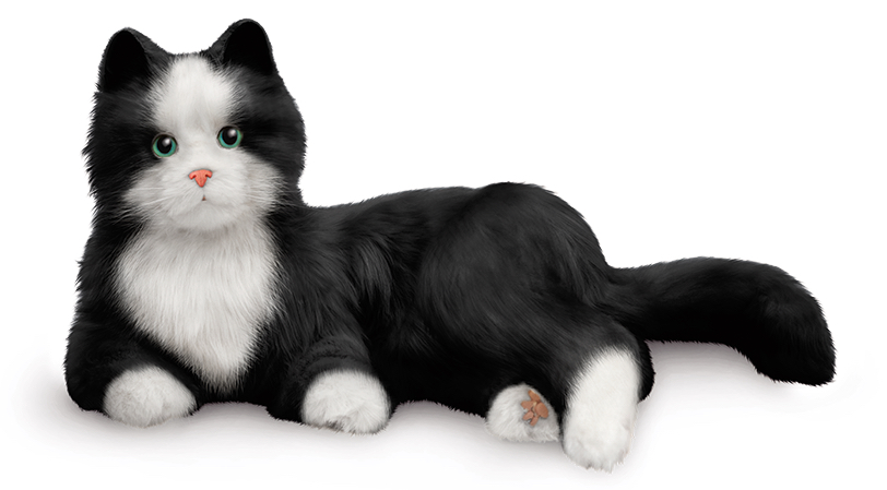 Ageless Innovation introduces Tuxedo Cat