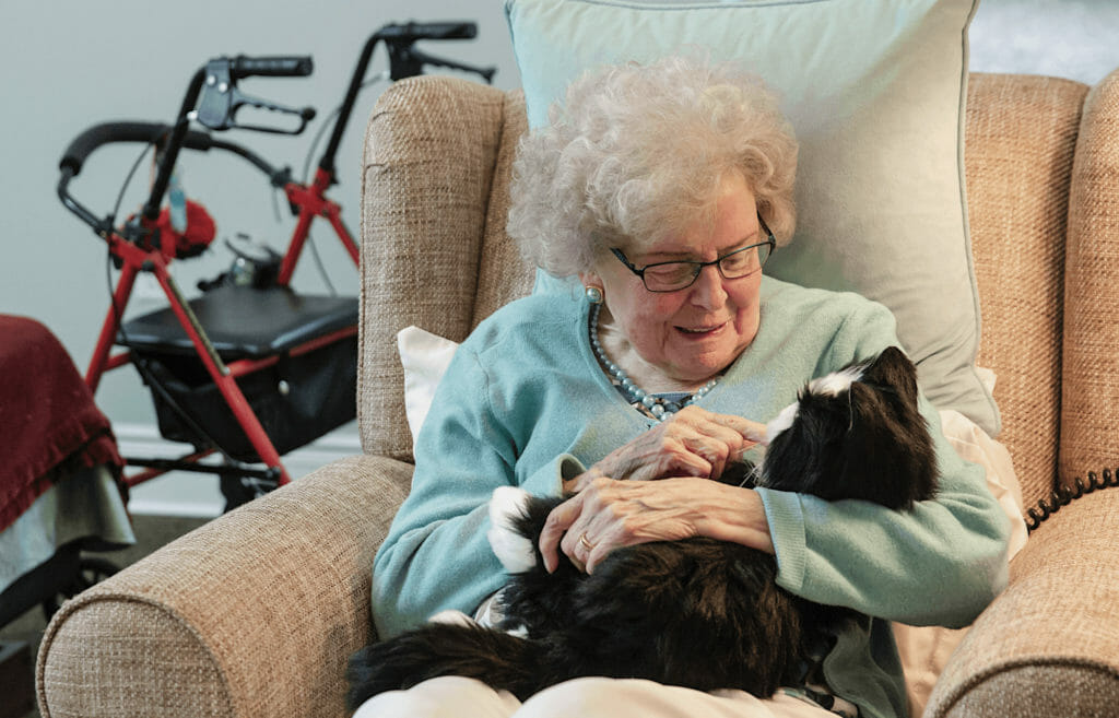 Robotic pets curb social isolation for older adults during COVID-19 pandemic