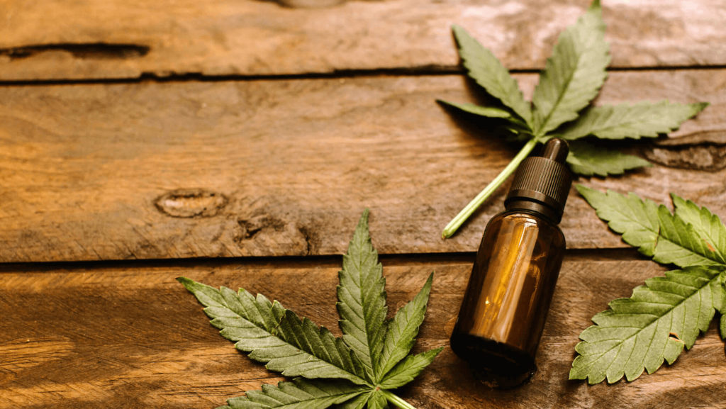 marijuana leaves and oil bottle