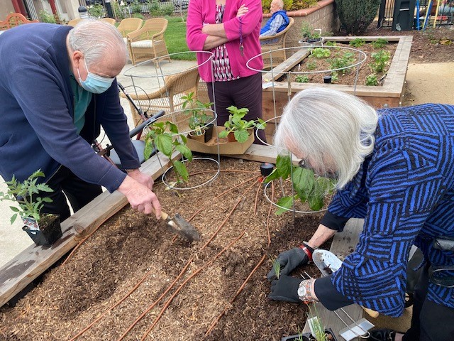 Residents enjoy ‘garden’ of mental, physical health benefits