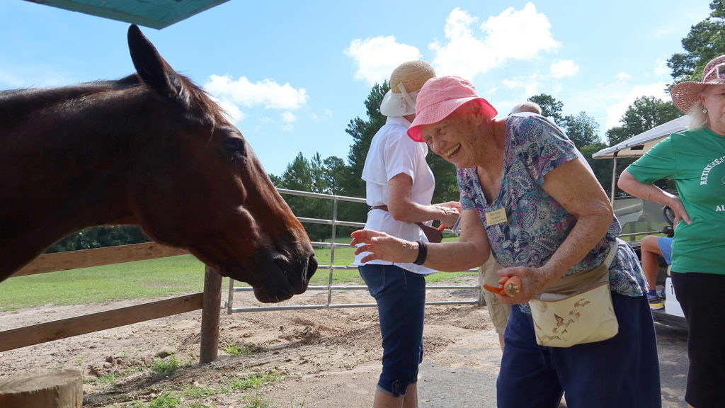 older adults with horse