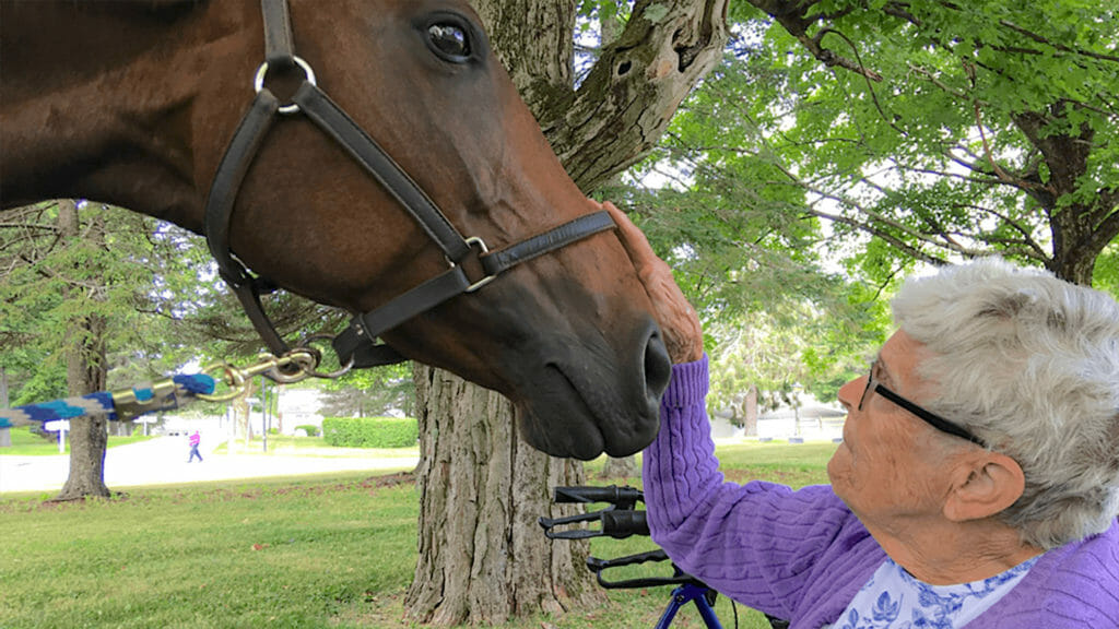 an older woman petting a horse