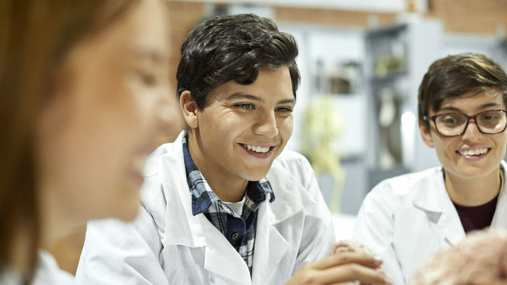 Confident young man holding human brain during anatomy class. Smiling male and female medical students are studying neuroscience. They are in university.
